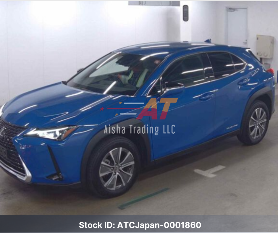 2021 Lexus UX300e
